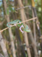 IMG_6257.jpg