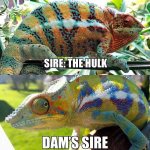 03479BAF-18EF-486C-8B18-668EB120524F.jpeg