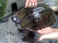 2010082415091698.jpg