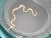DSCN2801.jpg