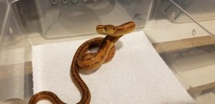 20190708_153534[1].jpg