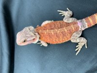 IMG_2372.HEIC.jpg