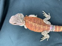 IMG_2371.HEIC.jpg