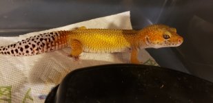 20190613_084528.jpg