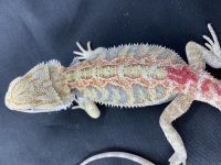 IMG_2383.HEIC.jpg