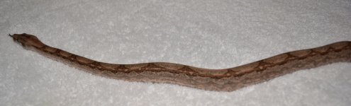 DSC_0004.jpg