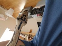 20190716_110323.jpg