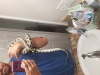 20190716_110413.jpg