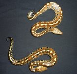 redbloodpythons.jpg