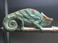 IMG_2184.jpg