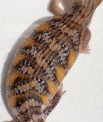 P_8-06-19_09w.jpg