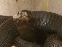 20190822_135257.jpg