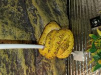 20190420_163521.jpg