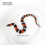 19T01-07M_sm.jpg