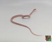 20190724184300.570-IMG_20190716_114604_.jpg