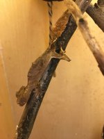IMG_1209.jpg