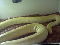 20101120001551.jpg