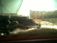 20110114201628.jpg