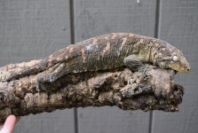 DSC_0321.jpg