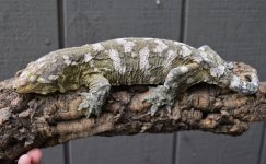 DSC_0327.jpg