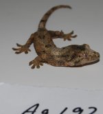 DSC_0010.jpg