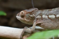 DSC_0405.jpg