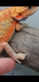 Screenshot_20190912-171652_Gallery.jpg