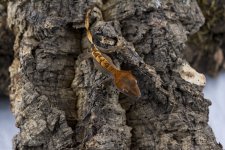 IMG_5103.jpg
