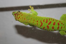 IMG_3342.jpg