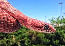 7C7ED662-4E98-4564-A797-E28CFC3EFB15.jpg