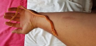 20190715_121912.jpg