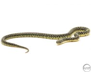 SpeckKing1.jpg