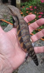 IMG_20190715_161526.jpg
