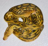 1.1 Tigers 100% double het Albino and Anthrax.jpg
