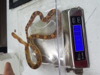 20190503_175918.jpg