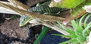 20180417_104340.jpg