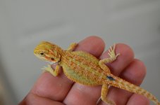 DSC_4073.jpg