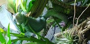 20180804_094734.jpg