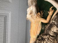 D72E3F86-F4BE-4D78-B39B-C1F9C98D37A5.jpg