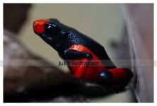 water marked0007_wm.jpg