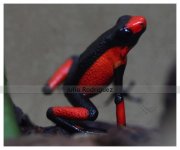 water marked0010_wm.jpg