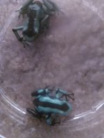 IMG_20190506_080149.jpg