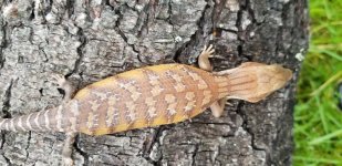 20190620_093959.jpg