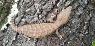 20190620_093938.jpg