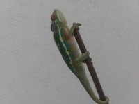20191016_173158.jpg