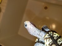 20190823_221631.jpg
