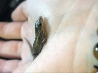 IMG_0095.jpg