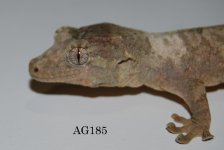 DSC_0395.jpg