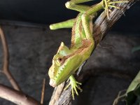 IMG_0066.jpg