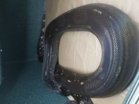 20180410_155212.jpg